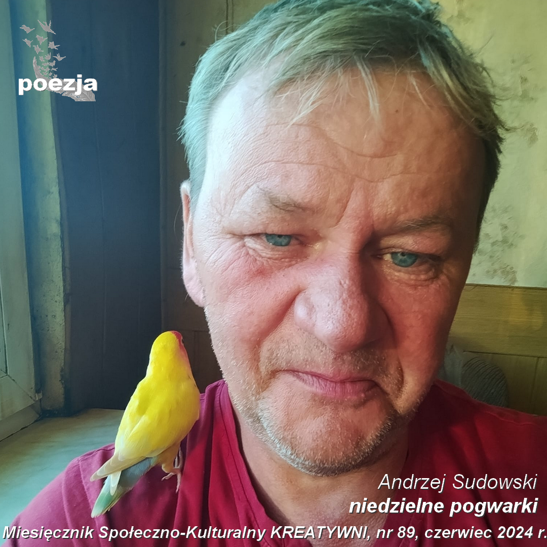 Niedzielne pogwarki / Andrzej Sudowski