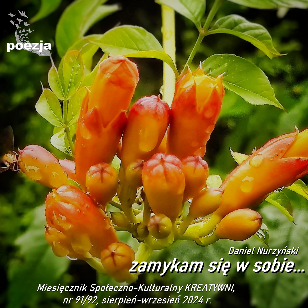 zamykam się w sobie...