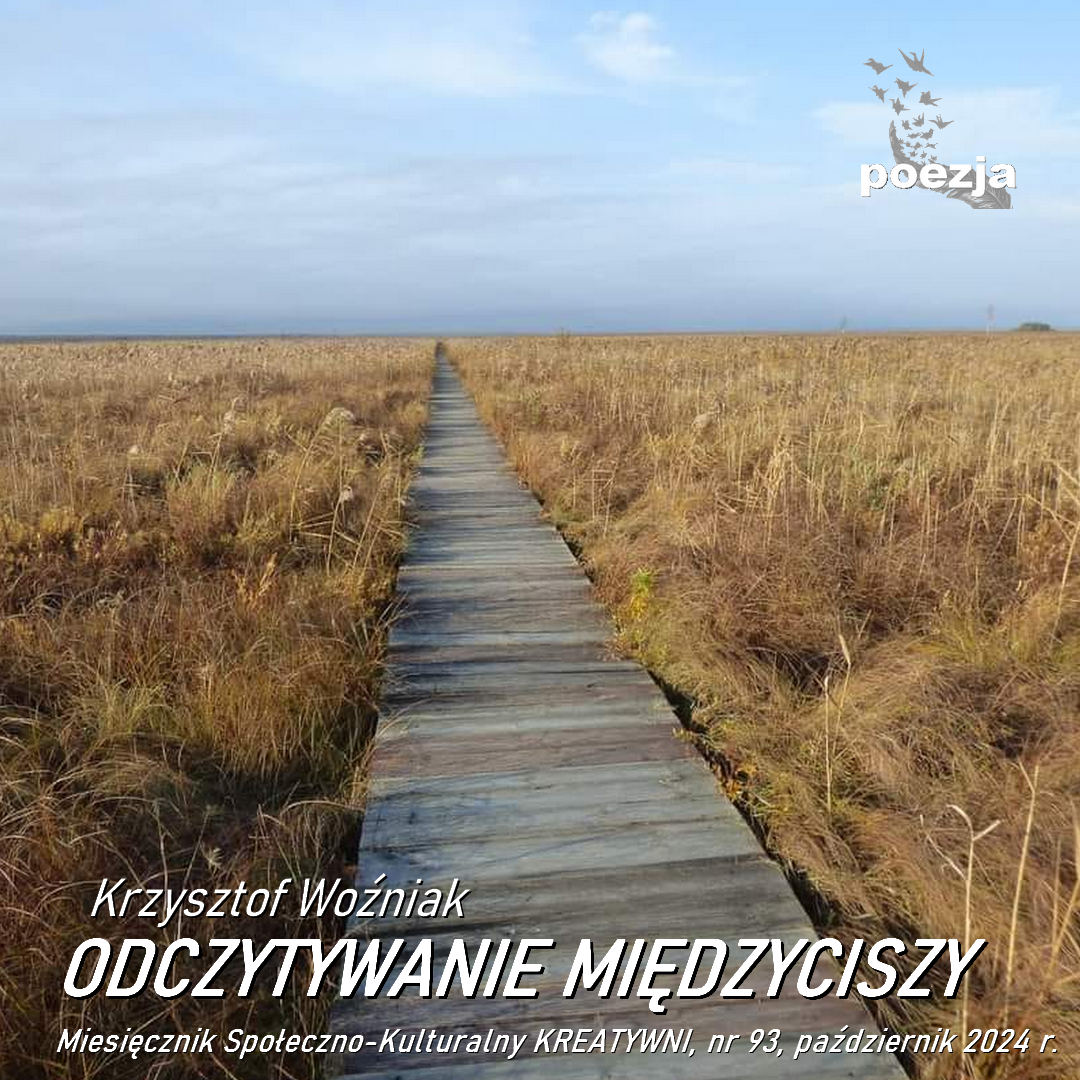 ODCZYTYWANIE MIĘDZYCISZY
