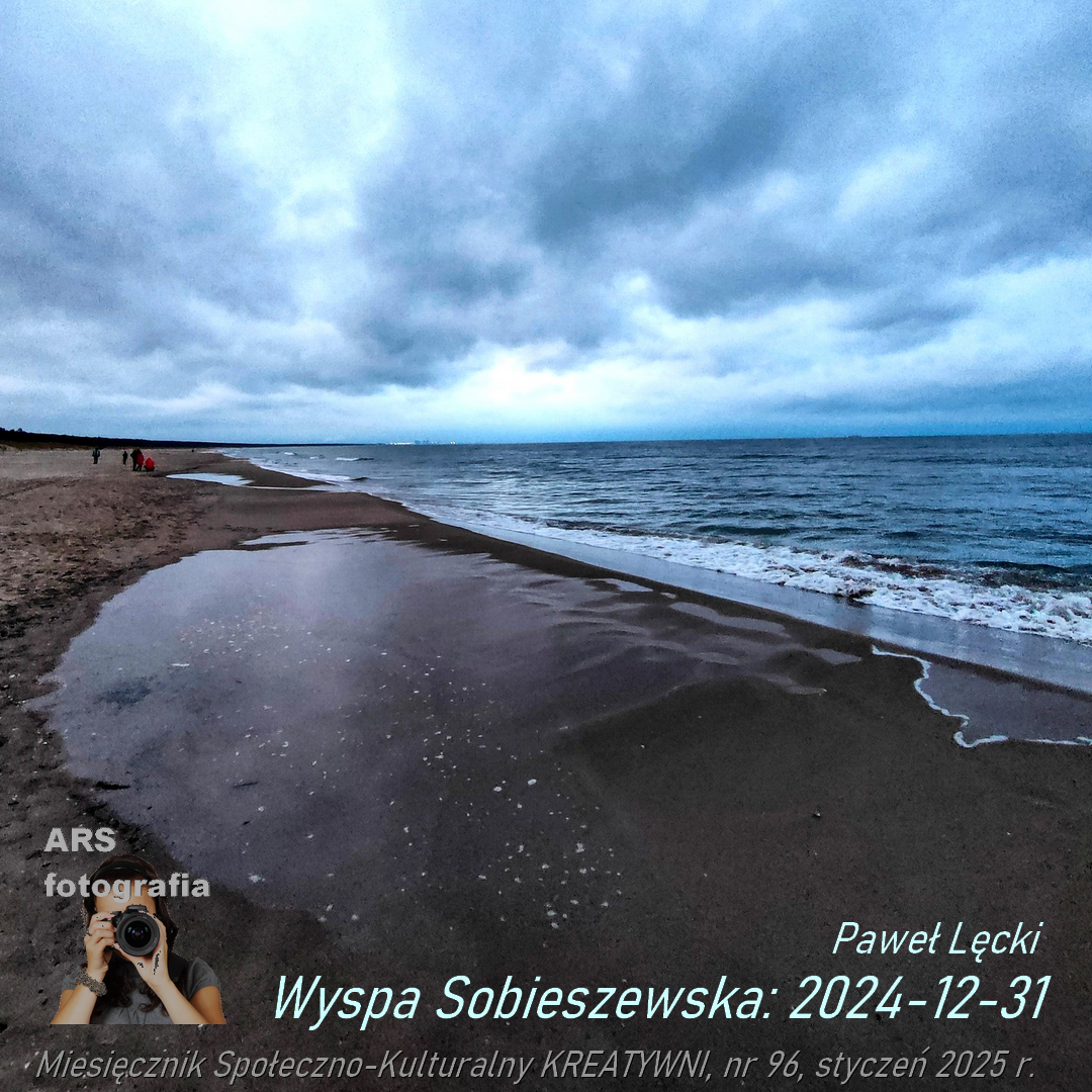 Wyspa Sobieszewska: 2024-12-31