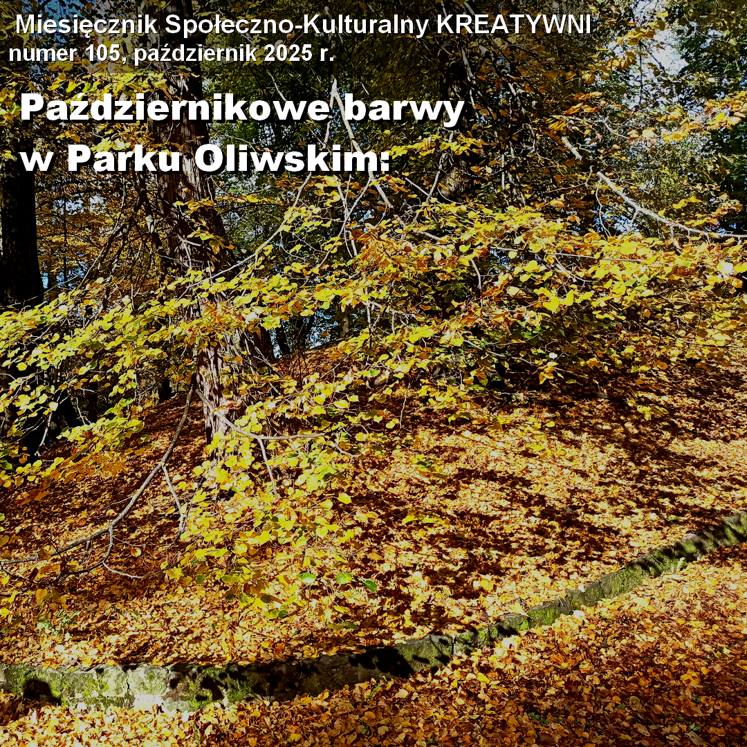 Październikowe barwy w Parku Oliwskim: fotoreportaż