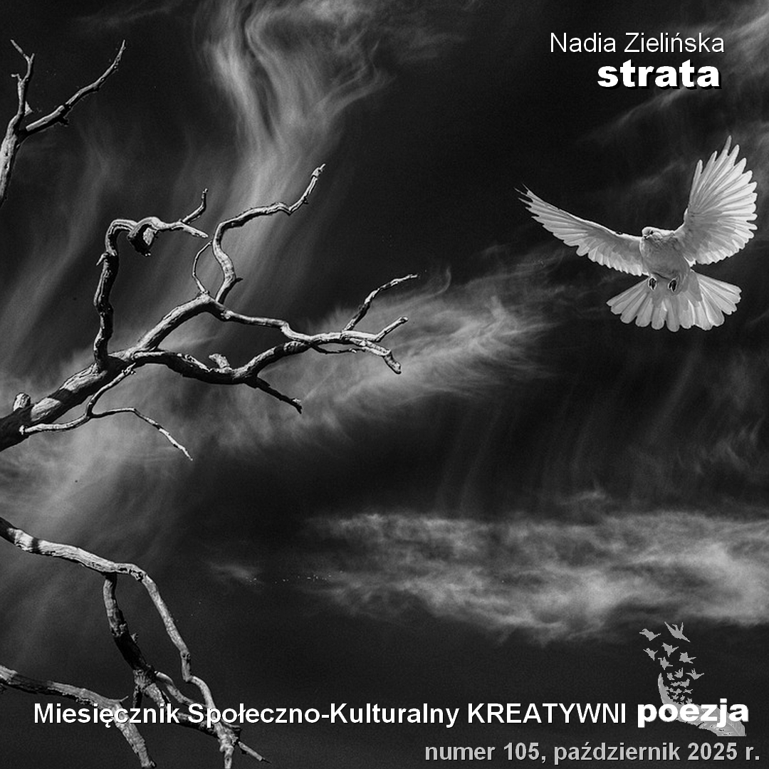 strata / Nadia Zielińska