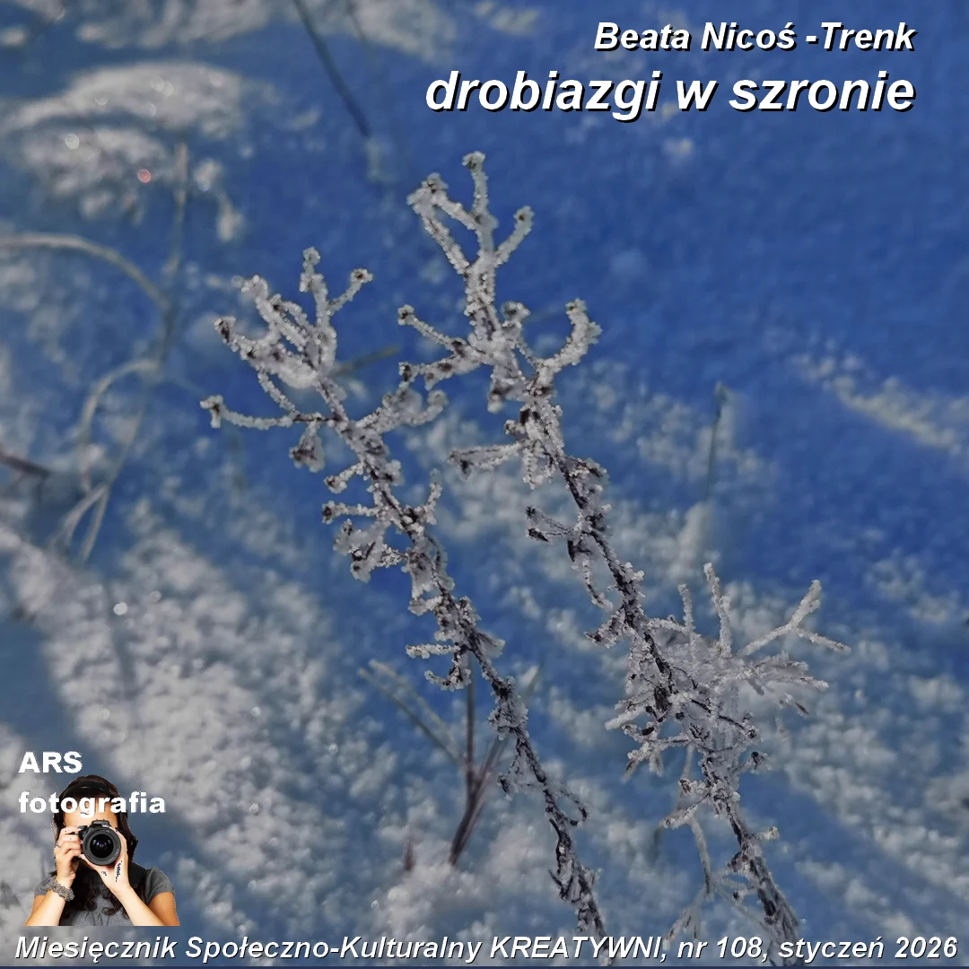 Drobiazgi w szronie / Beata Nicoś - Trenk