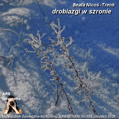Drobiazgi w szronie / Beata Nicoś - Trenk