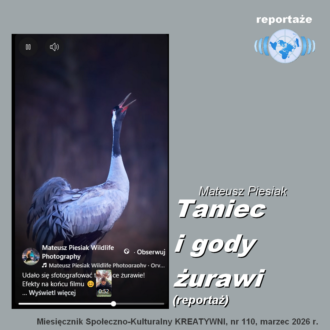 Taniec i gody żurawi: reportaż / Mateusz Piesiak