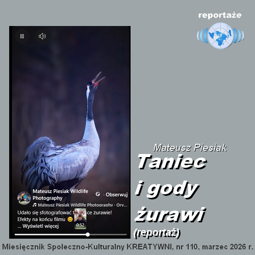 Taniec i gody żurawi: reportaż / Mateusz Piesiak