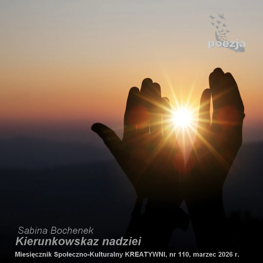 Kierunkowskaz nadziei / Sabina Bochenek