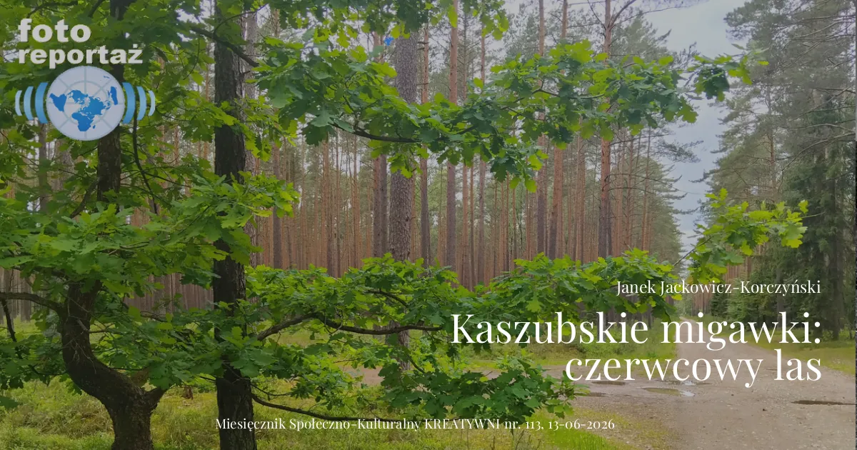 Kaszubskie pejzaże (2)