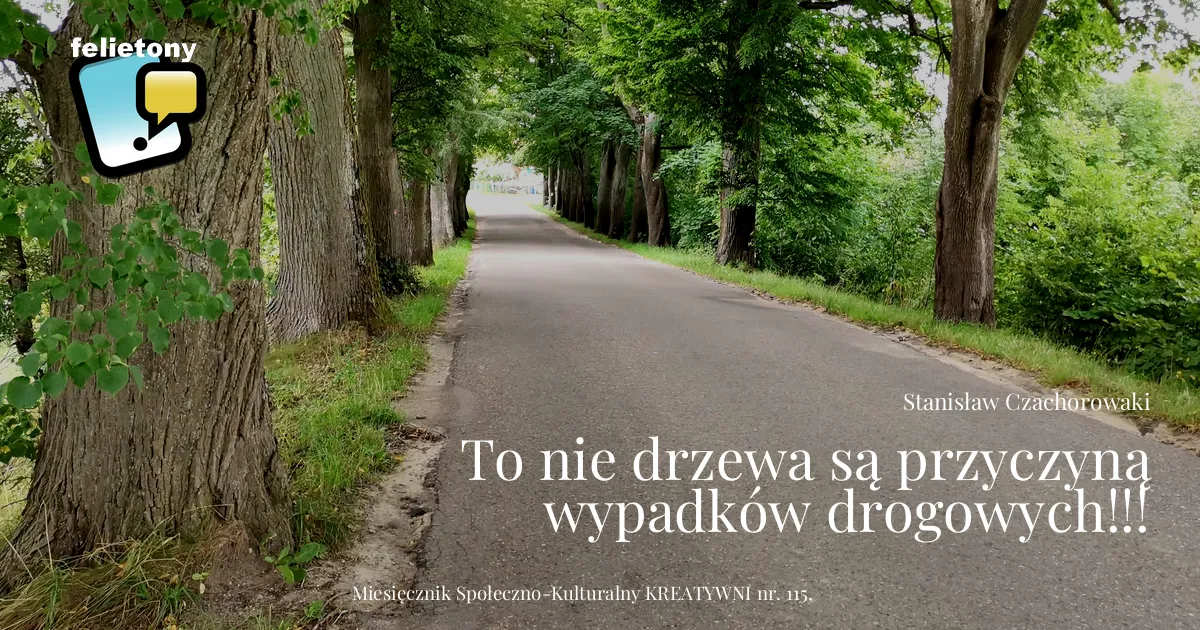 To nie drzewa przyczyną wypadków drogowych!!!