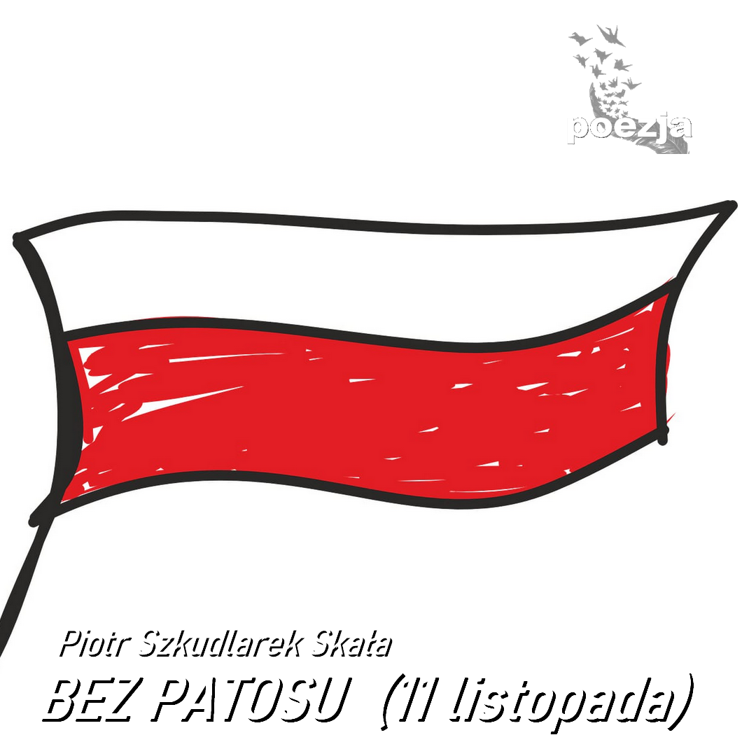 Bez patosu  (11 listopada) / Piotr Szkudlarek Skala