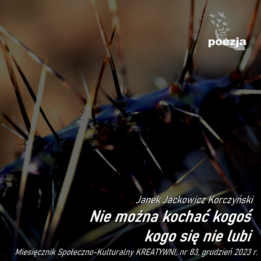 Nie można kogoś kochać, kogo się nie lubi / JanekJK