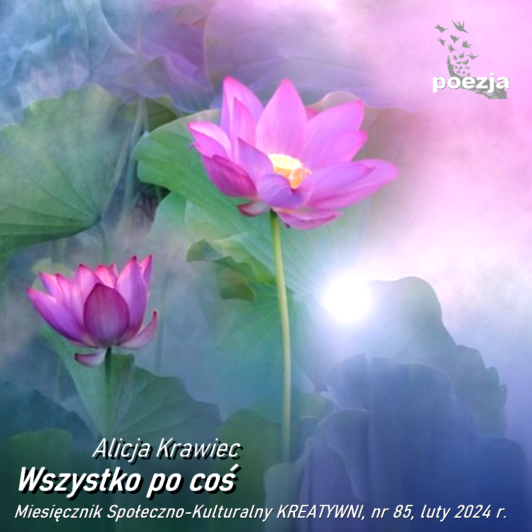 Wszystko po coś/ Alicja Krawiec