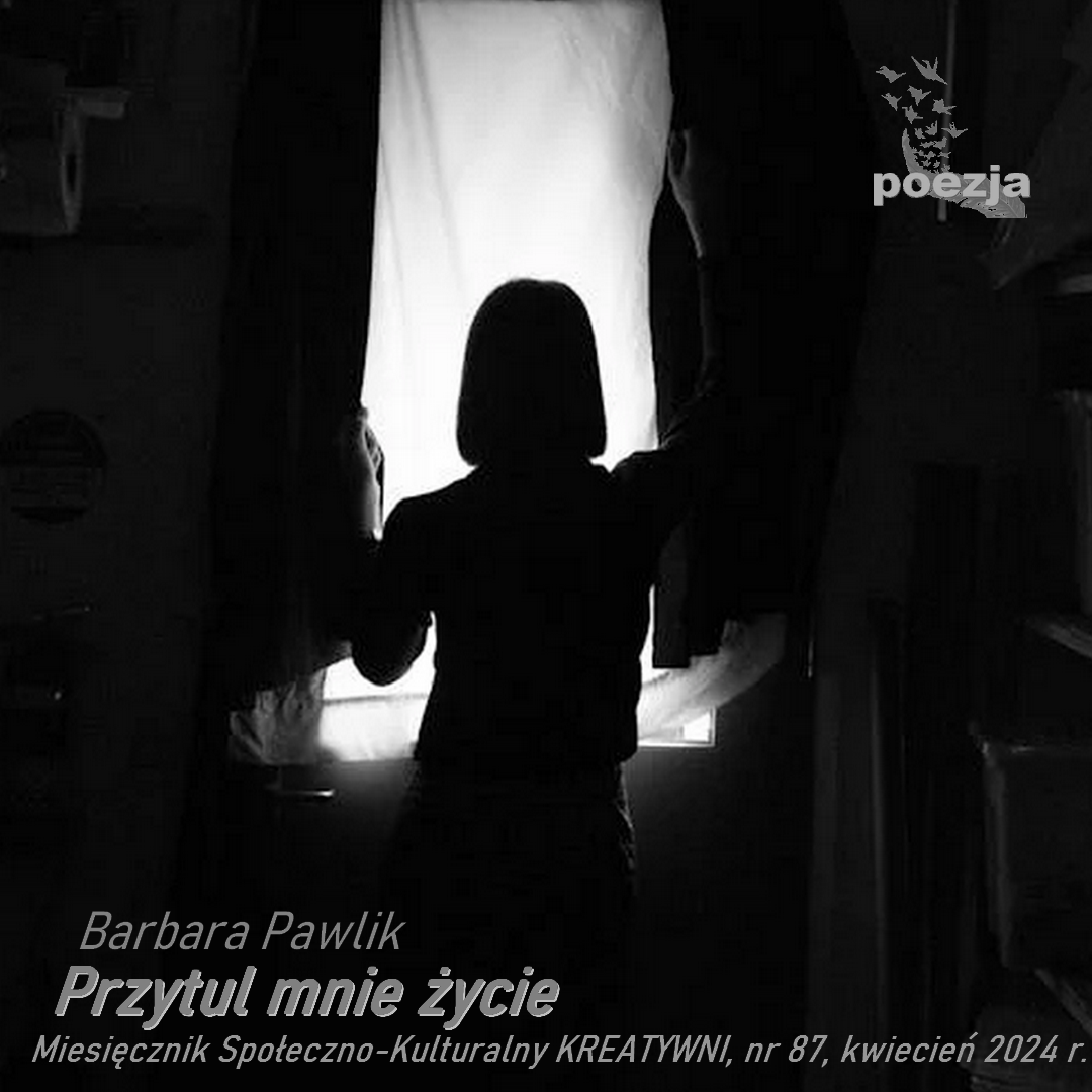 Przytul mnie życie /  Barbara Pawlik